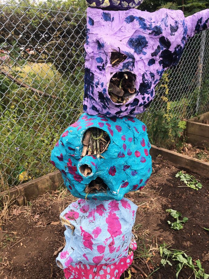 Art, Science & Nature