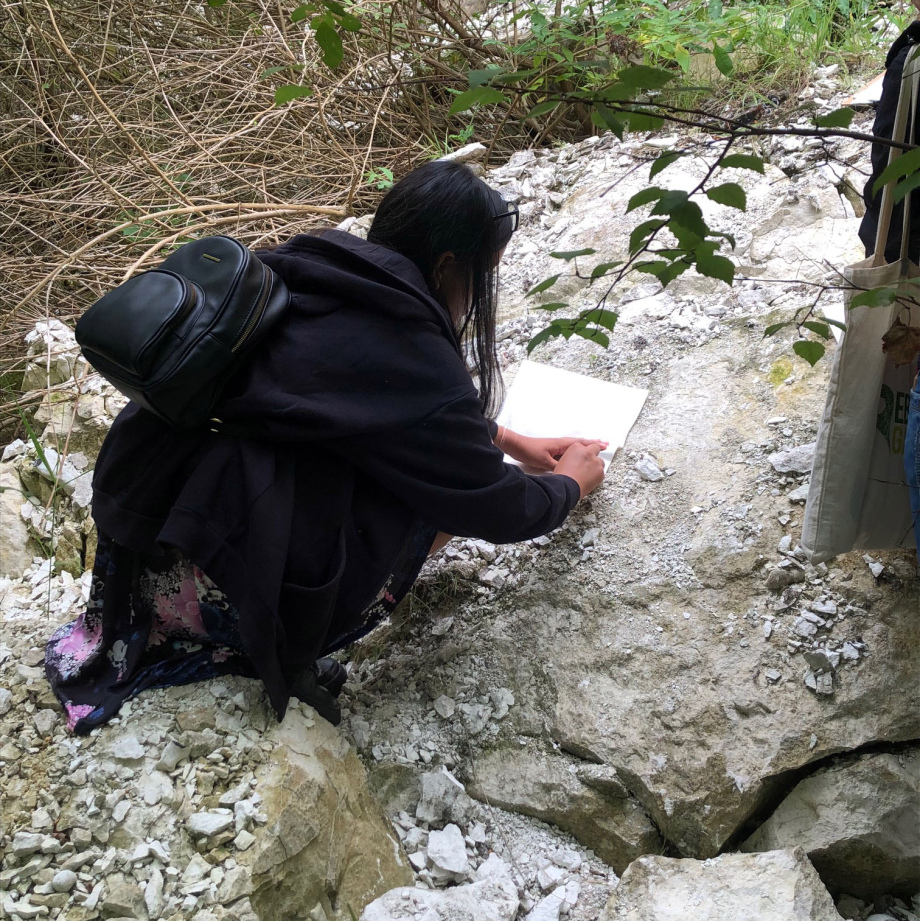 Alkerden Hub, Ebbsfleet