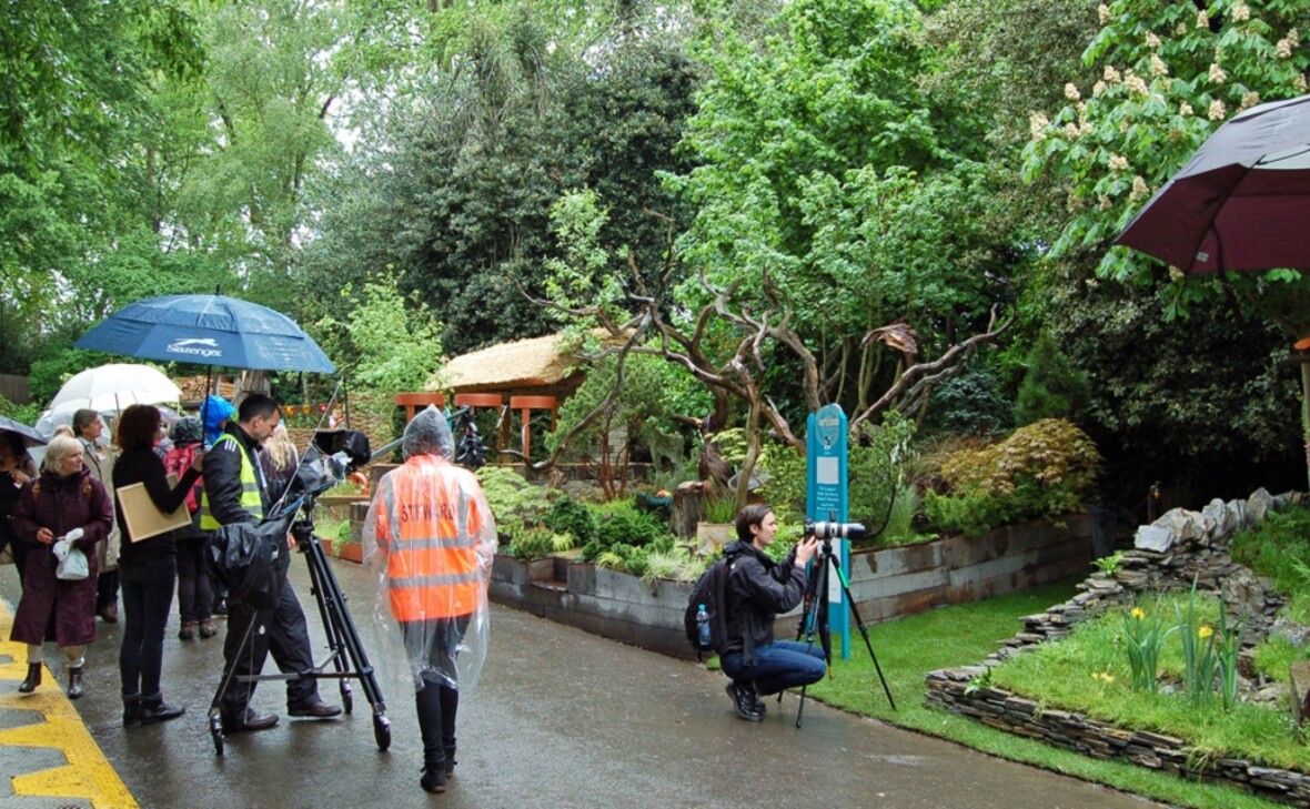 Chelsea flower show 15